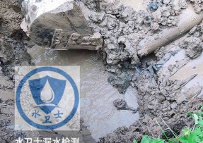 丰润水管漏水检测公司5